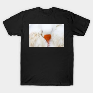 White Goose T-Shirt